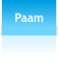 Paam
